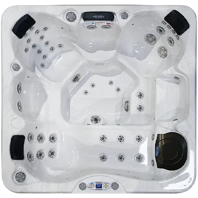 Avalon EC-849L hot tubs for sale in Racine
