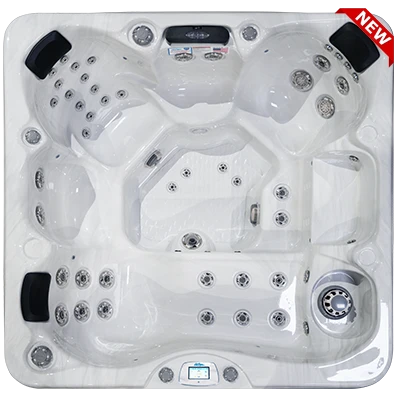 Avalon-X EC-849LX hot tubs for sale in Racine