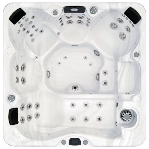 Avalon-X EC-867LX hot tubs for sale in Racine